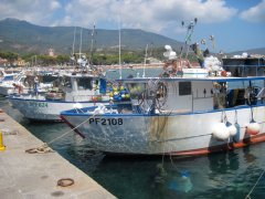 Legangel–Fischerboote im Hafen von Marina di Campo auf Elba.