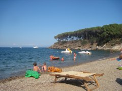 Elba 2016: der Strand von Calanova im Osten der Insel.