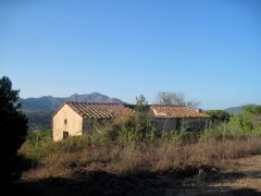 Die Ruine bei Vigne Vecchie nahe Capoliveri auf Elba.