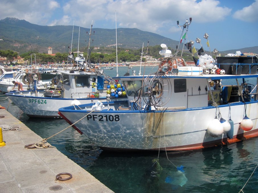Legangel–Fischerboote im Hafen von Marina di Campo auf Elba.
