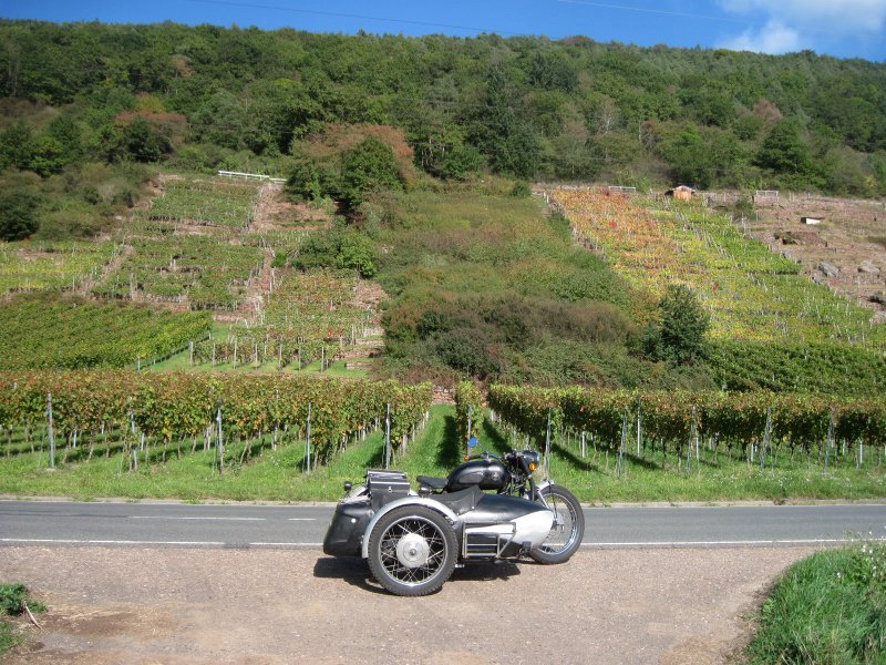 Weinberge am Mainufer in Franken, schon ziemlich südlich von Frankfurt.