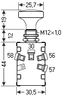 Die Maße des Zugschalters für das Licht (in Millimeter).